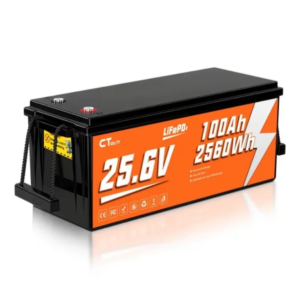 BATERIA LITIO 24V 100A NUEVA