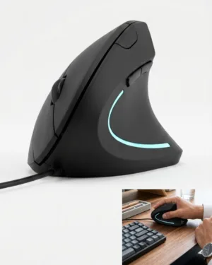 MOUSE ERGONOMIC