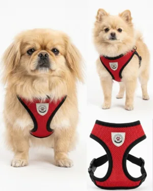 uc-344.webp PECHERA PARA MASCOTA