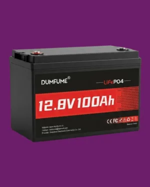BATERIA 12V 100A