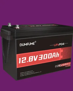 BATERIA 12V 300A 2026