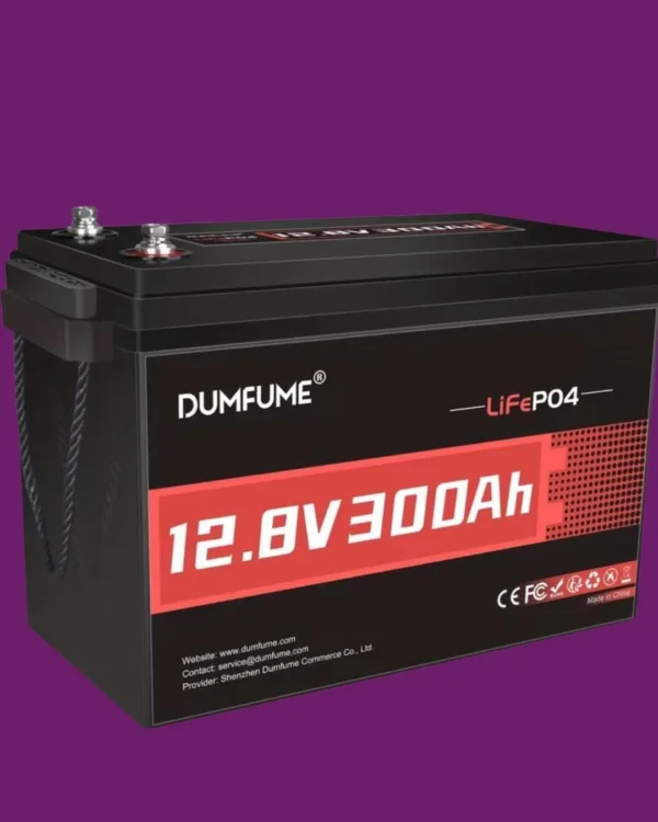BATERIA 12V 300A 2026