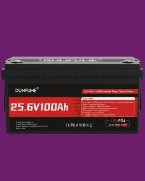 BATERIA 24V 100A