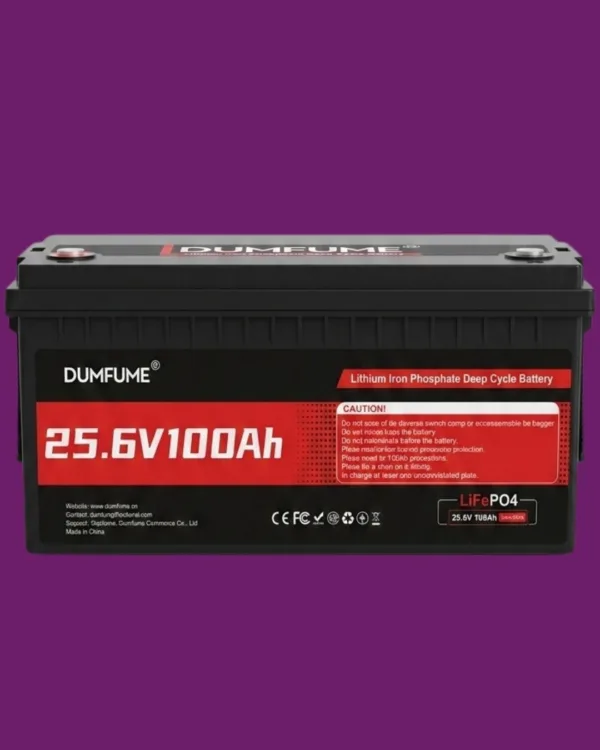 BATERIA 24V 100A